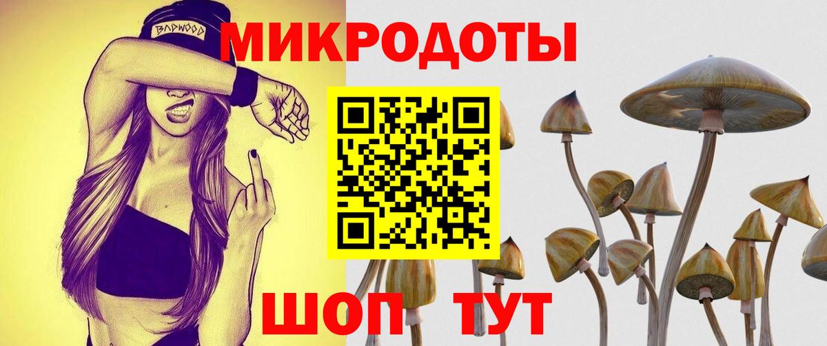 Семёнов  Псилоцибиновые грибы Psilocybine cubensis  Вход с VPN 